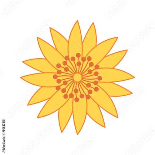 Pharmaceutical herb - adonis flower emblem. Contour vector illustration for cosmetics, perfumeries, packing.