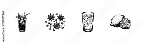 Classic Cocktails and Aromatic Garnish Ingredients with Hand-Drawn Sketchy Style and Inky Doodle Detail