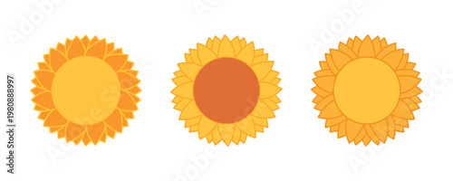 Sunflower illustration. Plant structure. Contour vector illustration for cosmetics, perfumeries, logo and badge.
