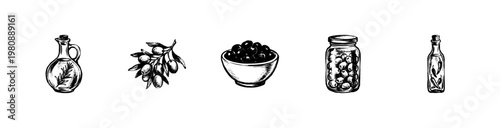 Mediterranean Olive Harvest and Extra Virgin Oil Elements with Hand-Drawn Inky Doodle and Organic Calligraphic Fluidity