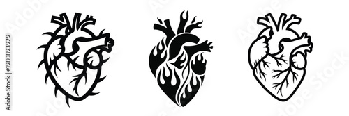Collection of black and white anatomical heart illustrations with different designs