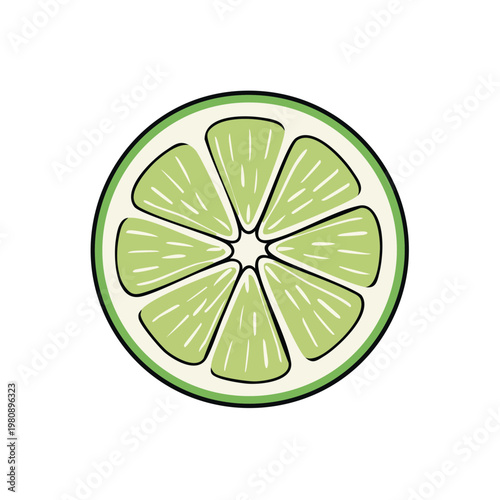 Cross section of a vibrant green lime fruit showing juicy segments and refreshing citrus pulp