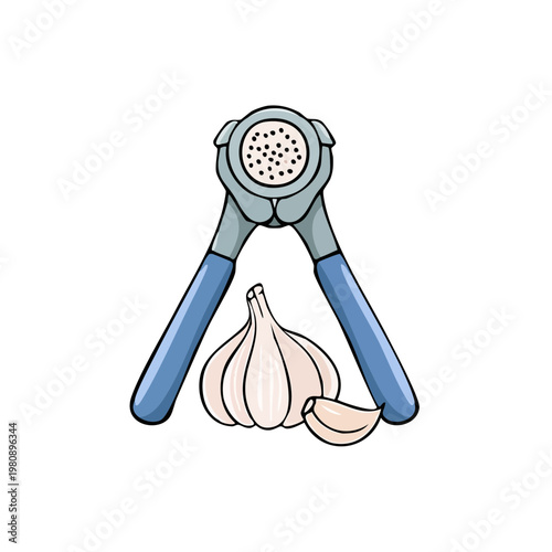 Kitchen Utensil for Crushing Garlic Cloves With a Whole Bulb and Slice Beside