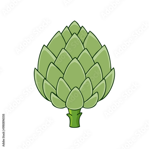 Fresh green artichoke vegetable illustration isolated on white background