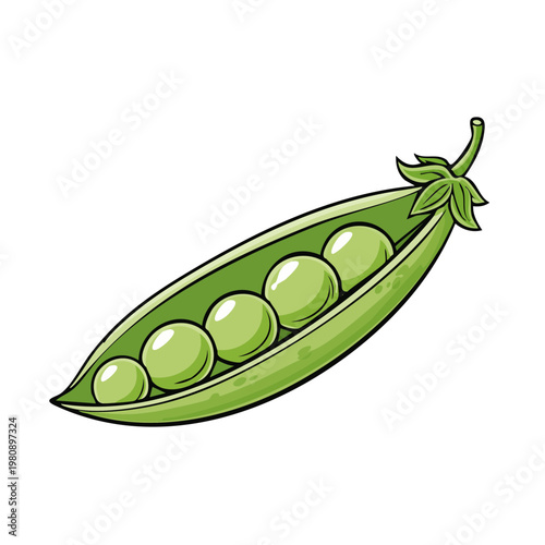 Vibrant green pea pod with five round peas inside fresh and healthy food illustration