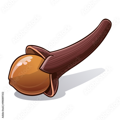 Isolated illustration of a single whole clove spice with detailed texture and shadow on a white background