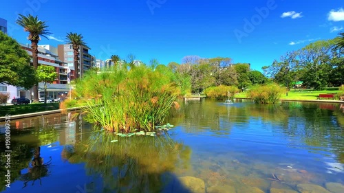 View of a Pond in Burwood Park with Burwood Building Skyline a Sydney suburb  blue skies NSW Australia