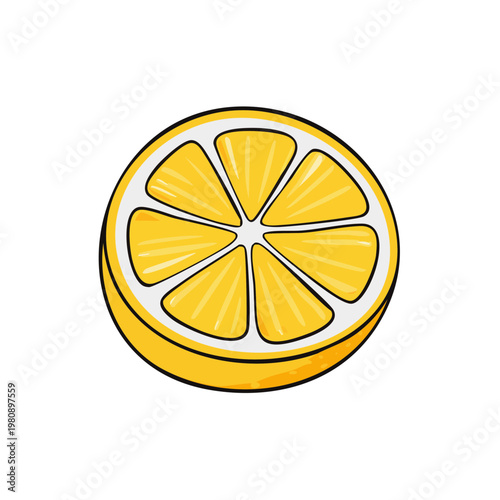 Hand-drawn yellow lemon slice with white rind and segments