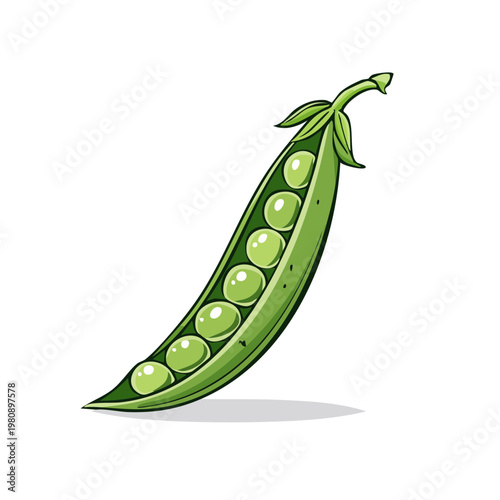 Fresh green pea pod with multiple peas bursting with freshness