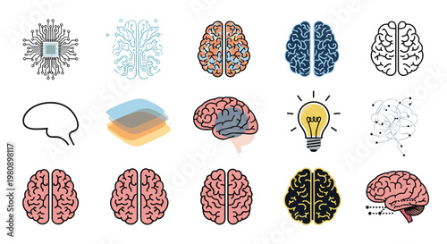 Variety of brain icons representing human intelligence, artificial intelligence, creative ideas, and complex neurological processes in different styles.