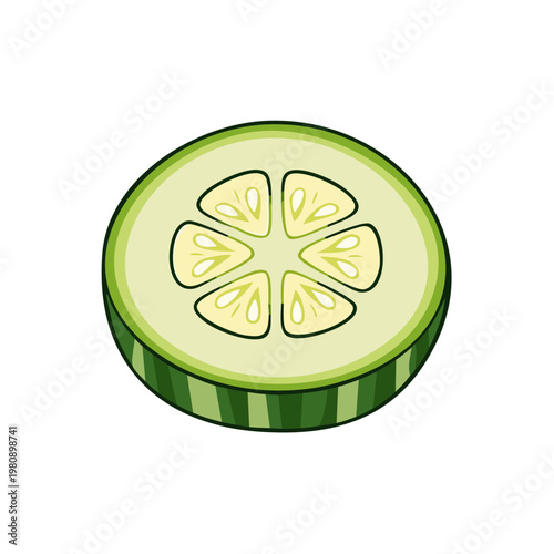 Single cross-section of a fresh green cucumber with visible seeds and pulp