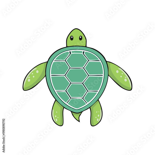 Cute Cartoon Green Sea Turtle Swimming Openly