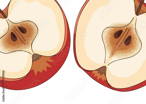 Illustration of a rotten apple cut in half.