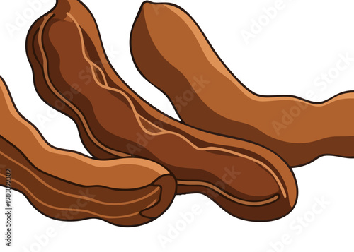 A cartoon illustration of peanuts on white background.