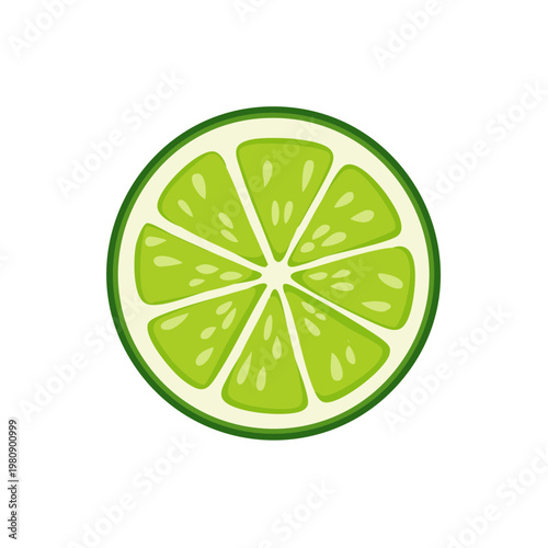 Vibrant Fresh Lime Slice with Juicy Segments and Zesty Peel Illustration