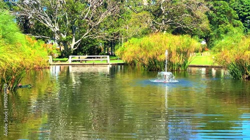 View of a Pond in Burwood Park with Burwood Building Skyline a Sydney suburb  blue skies NSW Australia