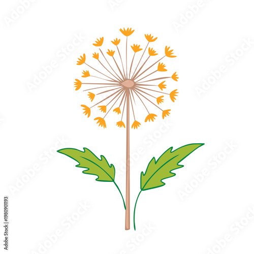 Stylized dandelion flower with seed head and green leaves, simple illustration