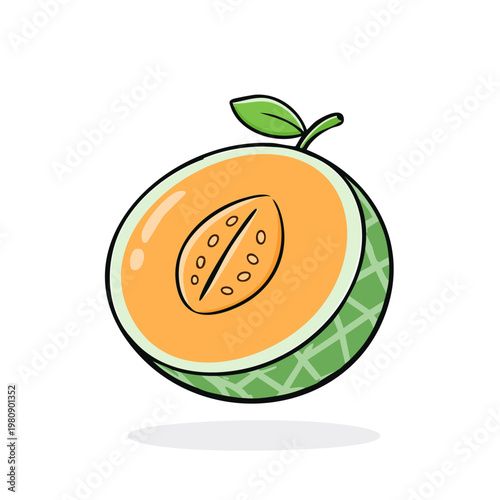 Stylized hand drawn cantaloupe melon cut in half showing juicy orange pulp and seeds with a green leaf