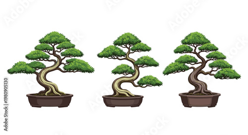 Illustration of three beautiful and unique bonsai trees planted in decorative ceramic pots, showcasing different styles of pruning.