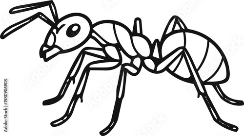Black and white ant line art illustration