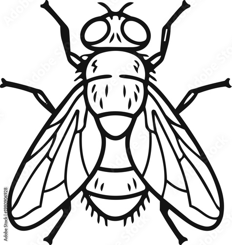 Black and white fly line art illustration