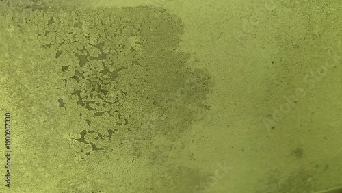 The green wall texture with peeling paint and fine cracks, displays a worn, grunge feel and strong visual character as an abstract background.