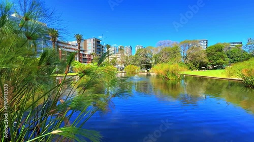 View of a Pond in Burwood Park with Burwood Building Skyline a Sydney suburb  blue skies NSW Australia