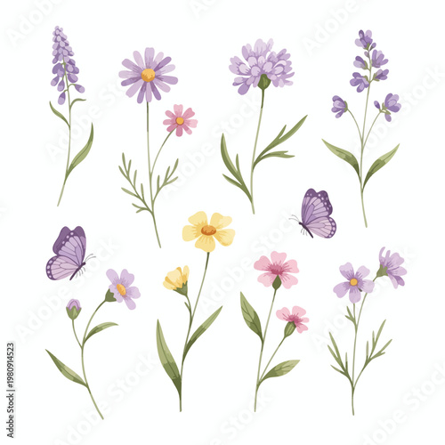 Beautiful Botanical Illustration of Wildflowers and Butterflies for Nature Enthusiasts