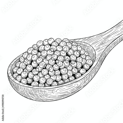 Hand Drawn Illustration of Fresh Pearls in a Wooden Spoon for Culinary or Artistic Use