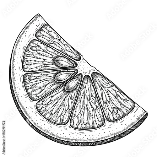 Fresh Lemon Slice for Food Cooking and Refreshing Beverages