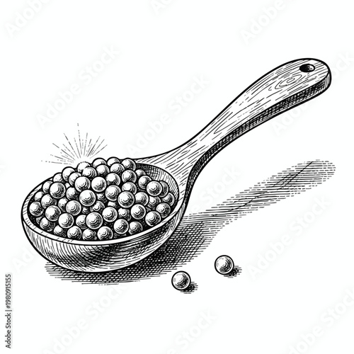 Vintage Hand Drawn Illustration of a Wooden Spoon Filled with Small Spherical Objects