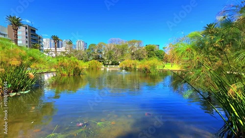 View of a Pond in Burwood Park with Burwood Building Skyline a Sydney suburb  blue skies NSW Australia