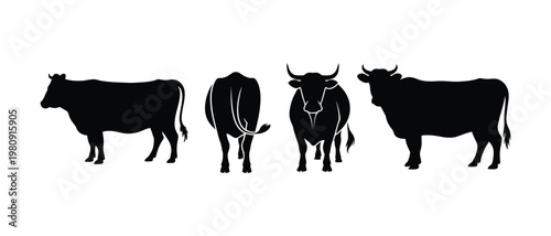 Four different types of cattle silhouettes, vector illustration
