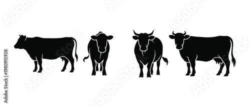 Four different types of cattle silhouettes, vector illustration