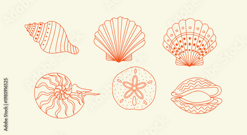 Set of Minimalist Sea Shell Line Art Illustrations: Conch, Scallop, Nautilus, and Sand Dollar Icons