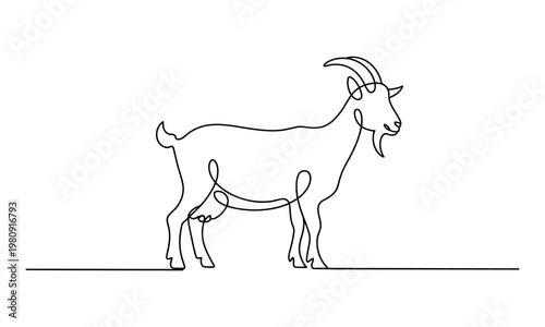 Goat standing on a line drawing, vector illustration