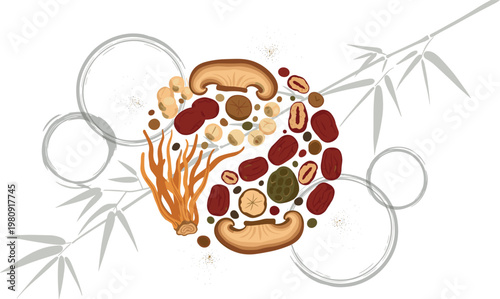 Traditional herbal medicine ingredients composition with dried roots, mushrooms, beans, and leaves, natural healing concept vector illustration