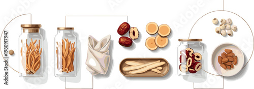 Traditional herbal medicine ingredients in glass jars with dried roots, slices, seeds, and natural remedies, holistic wellness vector illustration