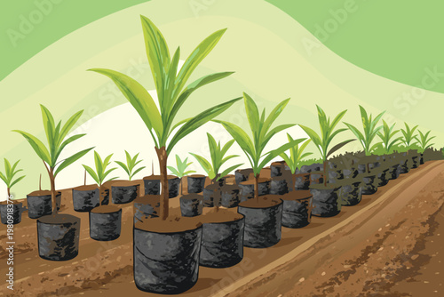 Palm Seedling Nursery Scene Vector Illustration o