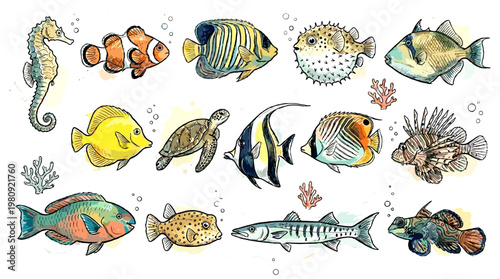 Colorful Collection of Diverse Marine Life Including Seahorses, Tropical Fish, and Sea Turtles, Isolated on White Background