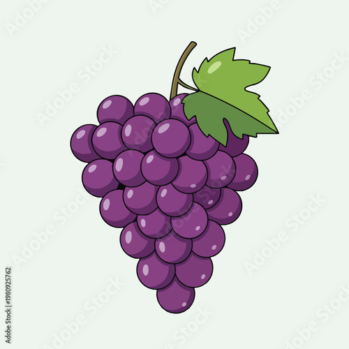 Fresh Cluster of Juicy Purple Grapes with Green Leaf on Light Background