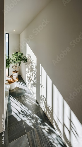 Empty minimalist hallway with natural sunlight shadows on white wall