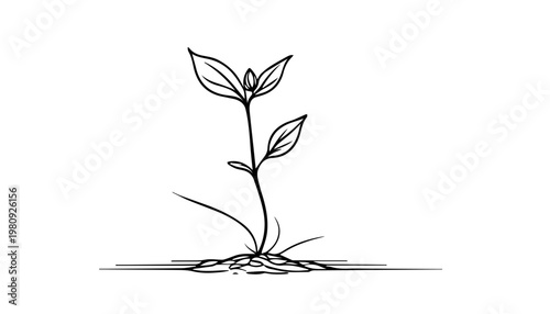 A minimalist illustration of a young sprout, a symbol of growth and potential. The delicate lines and shadows create a simple yet impactful image
