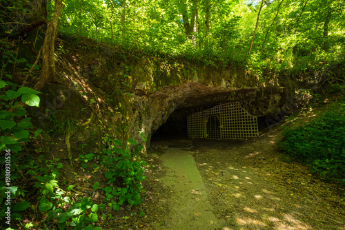 A Cave In The Woods During Summer