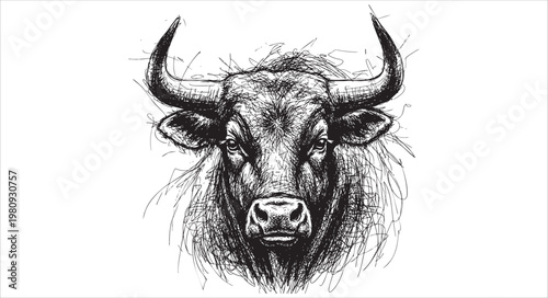 Hand drawn sketch of a bull head isolated on white background