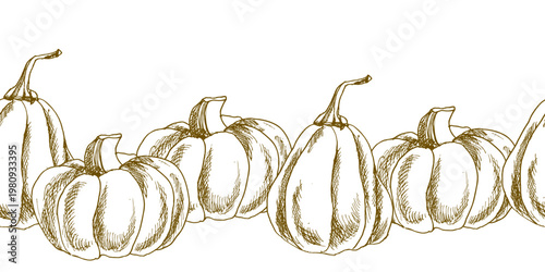 Autumn seasonal pumpkin engraved seamless banner. Hand drawn ink graphics of fall vegetables, fall festive food and bakery ingredient clipart for poster, banner design