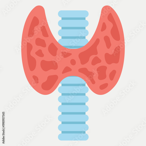 Human Thyroid: A detailed representation of the human thyroid gland, essential for hormonal balance and overall health, is depicted in this illustration, highlighting its intricate structure.