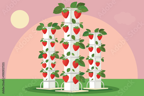 Vertical Strawberry Farm Scene Vector Illustratio