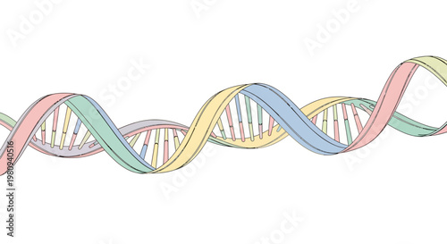 Colorful DNA double helix structure model.