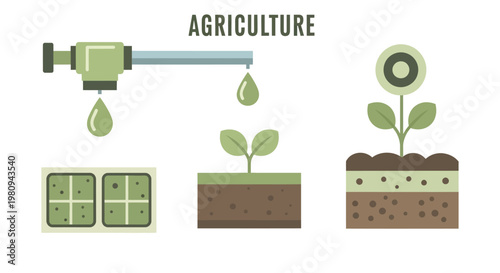 Agriculture and plant growth process.